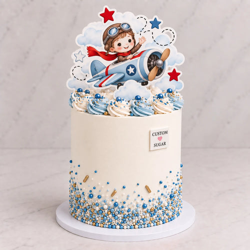 Custom Sugar Aeroplane cake